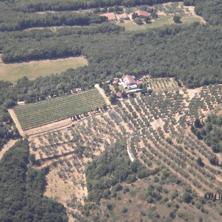 B&B Ca' Morino Верона Экстерьер фото